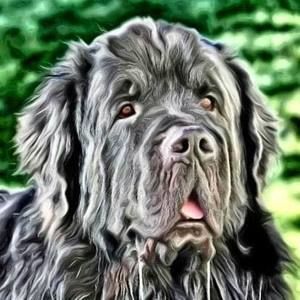 Meet your Posher, Brad